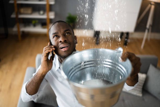 Best Water damage contractors near me  in Pocono Springs, PA