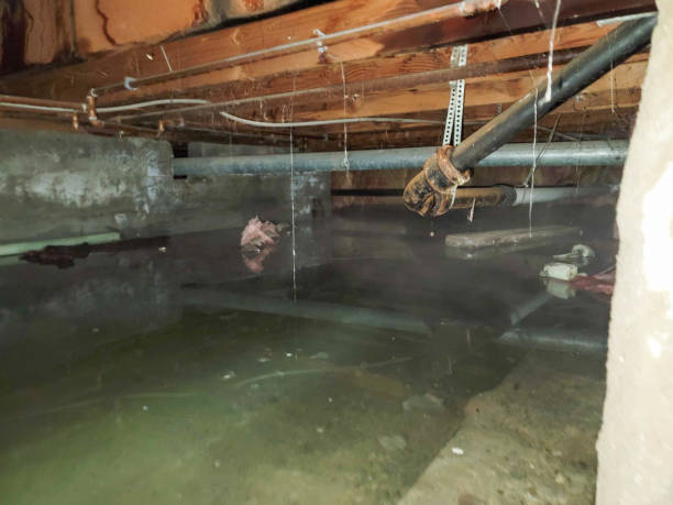 Best 24-hour water damage restoration  in Pocono Springs, PA