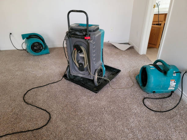 Best Mold removal after water damage  in Pocono Springs, PA