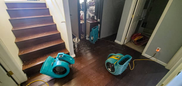 Best Water damage restoration services  in Pocono Springs, PA