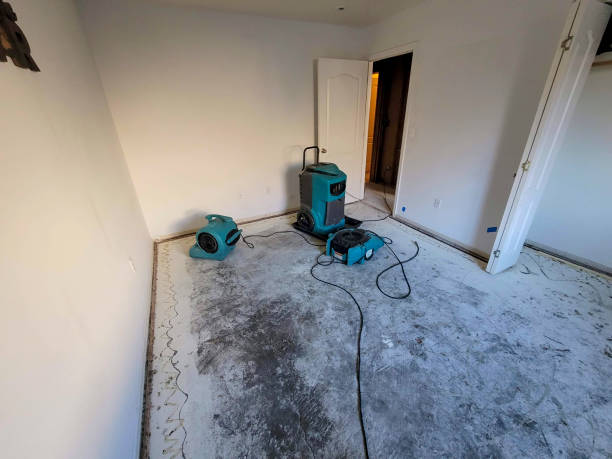 Best Local water damage restoration  in Pocono Springs, PA