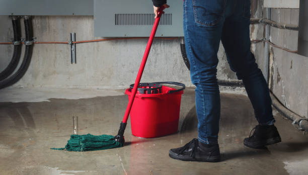 Best Water damage cleanup near me  in Pocono Springs, PA