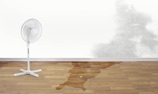 Water damage restoration insurance claims in Pocono Springs, PA