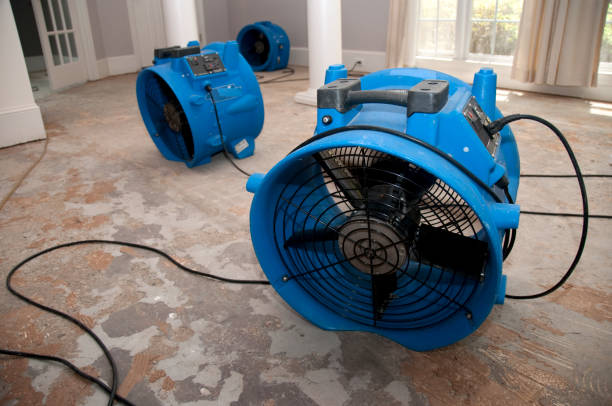 Best Basement water damage restoration  in Pocono Springs, PA