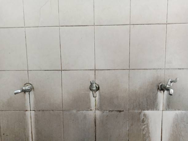 Best Flood damage cleanup  in Pocono Springs, PA